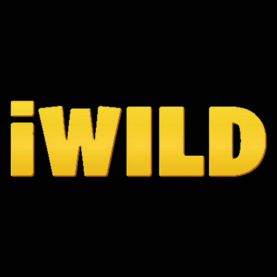 iWild kasyno online